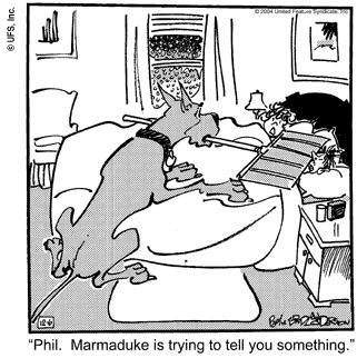 marmaduke